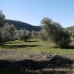 Algodonales property: Cadiz House, Spain 254149