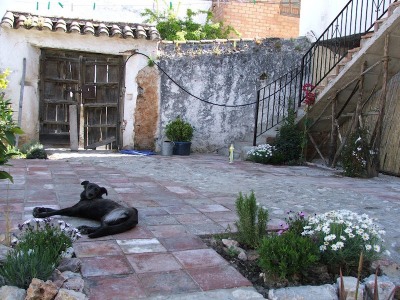 Commercial with 5 bedroom in town 254152