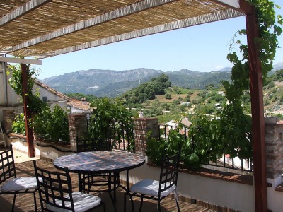 Malaga Commercial 254152
