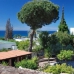 Marbella property: Villa for sale in Marbella 254320
