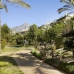 Marbella property: Penthouse in Malaga 254336