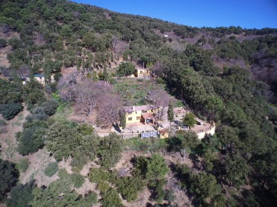 Jubrique property: Finca in Malaga for sale 254367