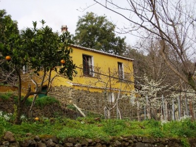 Jubrique property: Malaga Finca 254367