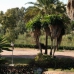 Marbella property: Townhome in Marbella 254409