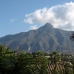 Marbella property: 5 bedroom Villa in Malaga 254424