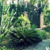 Alhaurin El Grande property: Commercial in Malaga 254426