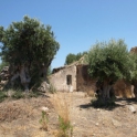 Estepona property: Finca for sale in Estepona 254467