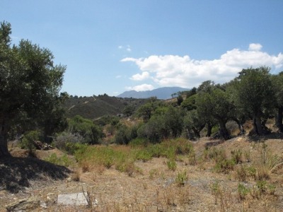 Estepona property: Finca with bedroom in Estepona 254467