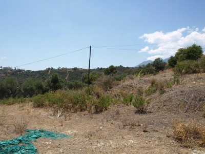 Estepona property: Estepona Finca 254467