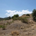 Estepona property: Malaga Finca, Spain 254467