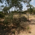 Marbella property: bedroom Land in Malaga 254484