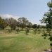 Marbella property: Malaga Land, Spain 254484