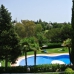 Marbella property: Malaga, Spain Apartment 254783