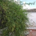 Olvera property:  Townhome in Cadiz 254797