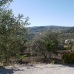 Olvera property: 4 bedroom House in Cadiz 254799