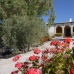 Olvera property: Cadiz House, Spain 254799