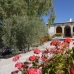 Olvera property: Cadiz House, Spain 254799
