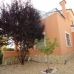 Hondon de las Nieves property: Hondon de las Nieves Villa, Spain 254935