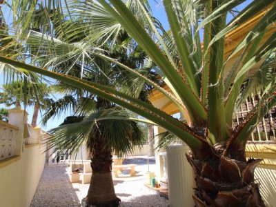 Hondon de las Nieves property: Hondon de las Nieves, Spain | Villa for sale 254936