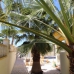 Hondon de las Nieves property: Alicante Villa, Spain 254936