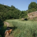 Benahavis property: Benahavis, Spain Villa 255026