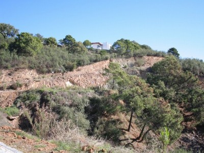 Benahavis property: Land for sale in Benahavis 255047