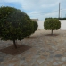Catral property: Alicante Villa, Spain 255084