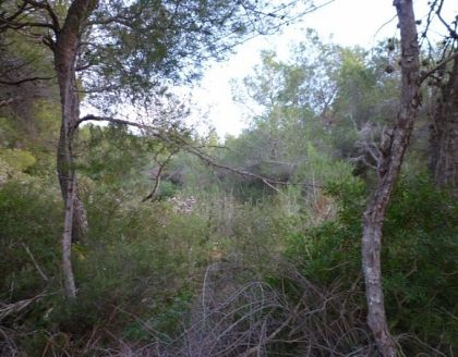 Moraira property: Villa with 3 bedroom in Moraira, Spain 255098