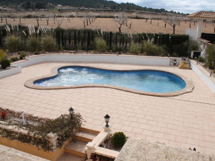Sax property: Villa with 5 bedroom in Sax, Spain 255274