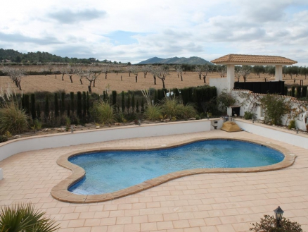 Sax property: Villa for sale in Sax, Alicante 255274