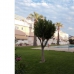 Alicante, Spain Townhome 255304