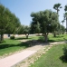 3 bedroom Bungalow in town, Spain 255846