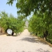 Hondon De Los Frailes property: Beautiful Villa for sale in Hondon De Los Frailes 255848