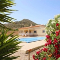 Hondon De Los Frailes property: Villa for sale in Hondon De Los Frailes 255849