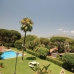 Nueva Andalucia property: Beautiful Apartment for sale in Nueva Andalucia 256075