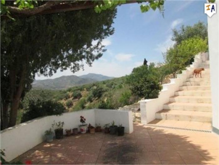 Alcala La Real property: Alcala La Real Farmhouse 256249