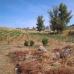 Mures property: Jaen Farmhouse, Spain 256253