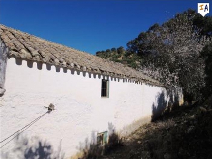 Iznajar property: Farmhouse with 5 bedroom in Iznajar, Spain 256276