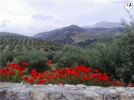 Sabariego property: Farmhouse with 3 bedroom in Sabariego, Spain 256279