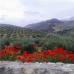 Sabariego property: 3 bedroom Farmhouse in Jaen 256279