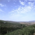 Alcala La Real property: 3 bedroom Farmhouse in Alcala La Real, Spain 256283