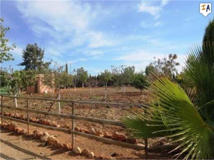 Mollina property: Farmhouse in Malaga for sale 256287