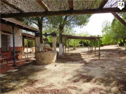 Mollina property: Mollina, Spain | Farmhouse for sale 256287