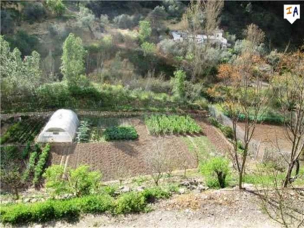 Montefrio property: Farmhouse for sale in Montefrio, Spain 256294