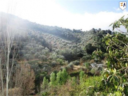 Montefrio property: Granada Farmhouse 256294