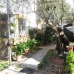 Montefrio property: 4 bedroom Farmhouse in Granada 256294