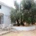 Villanueva De Algaidas property: Villanueva De Algaidas, Spain Farmhouse 256304