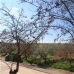 Antequera property: Antequera Commercial, Spain 256311