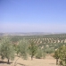 Villanueva De Algaidas property: Malaga, Spain Land 256313