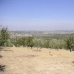 Villanueva De Algaidas property: bedroom Land in Malaga 256313